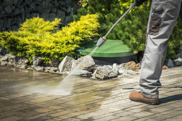 Best Sidewalk and Walkway Cleaning  in Rogers, TX